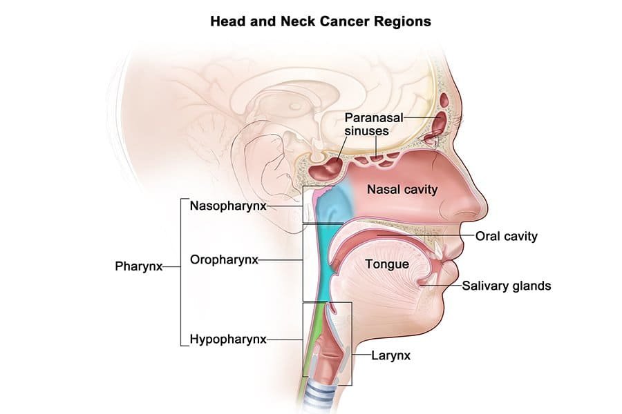 blog-headNeck-CancerRegions.jpg